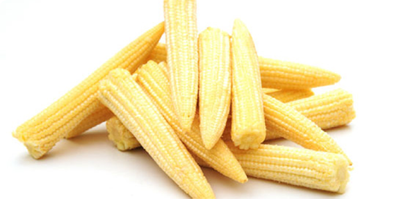 Baby Corn