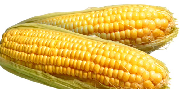 Corn