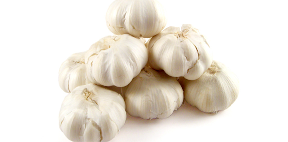 Garlic