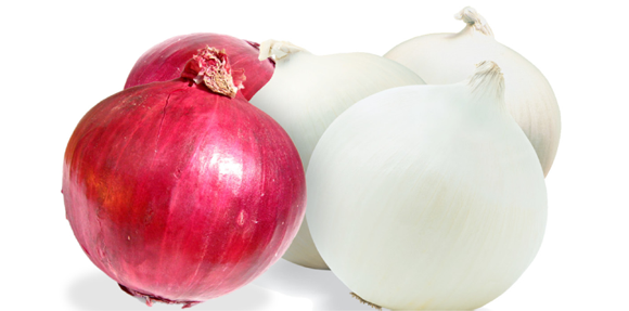 Onions