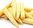 Baby Corn