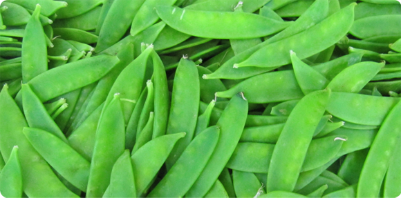 Snow Peas